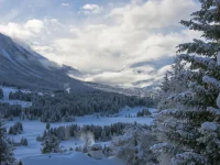 Ski09_024_©DHaagen__IMG_2218