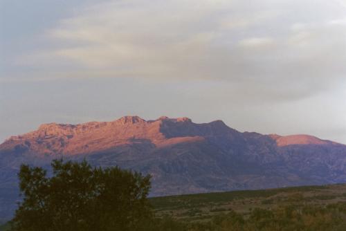 029Afrika1