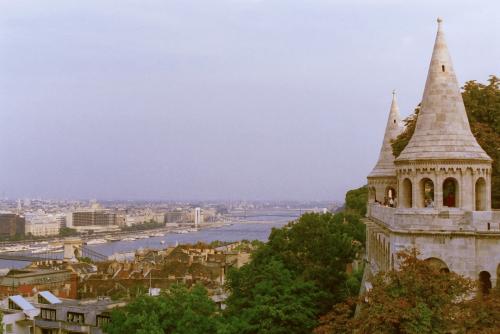 image017