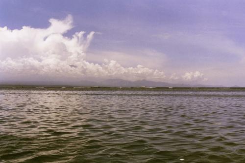 image003