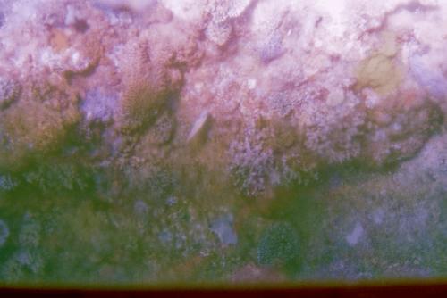 image004