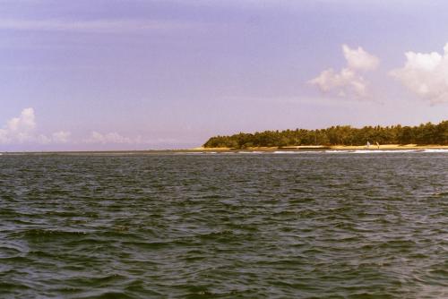 image005