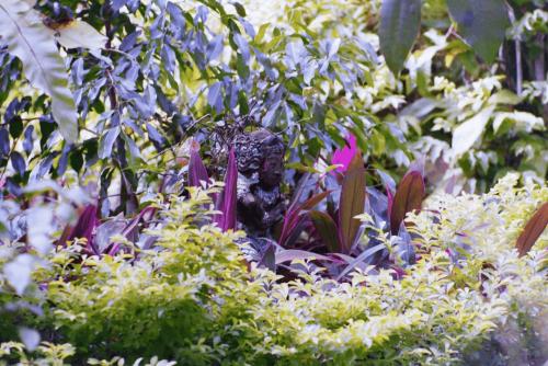 image007