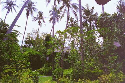 image008