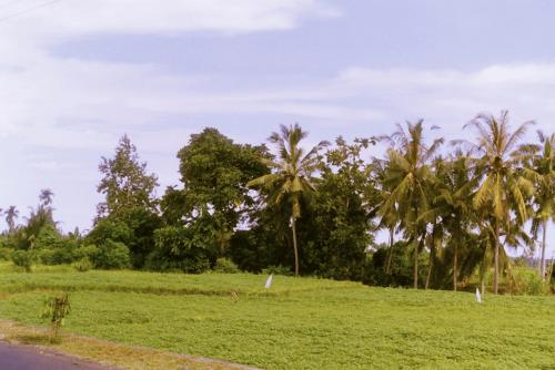 image009