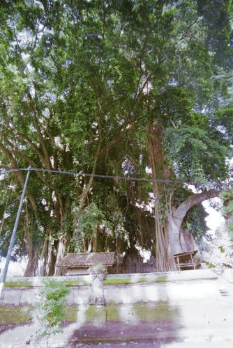 image017