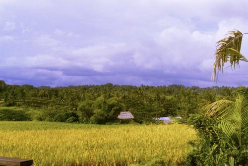 image021
