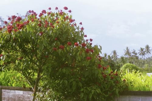 image022