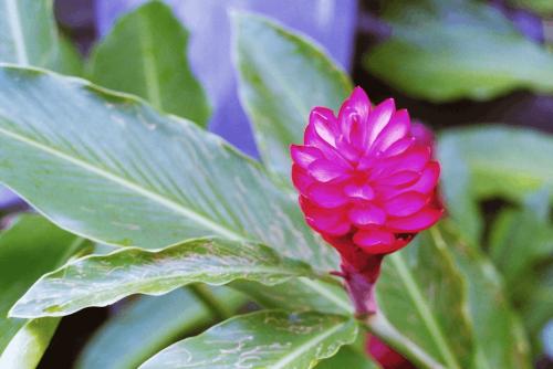 image028