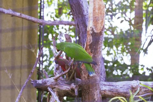 image078