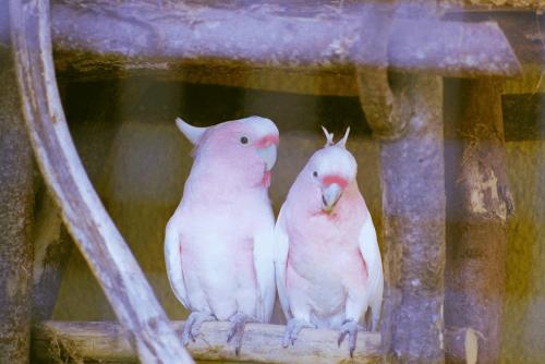 image079