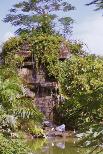 image081