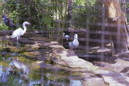 image082
