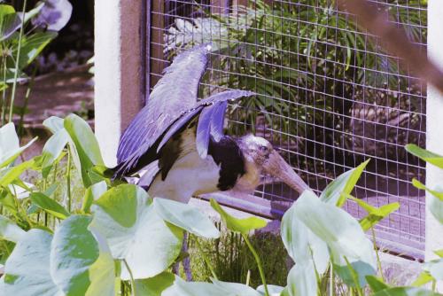 image083