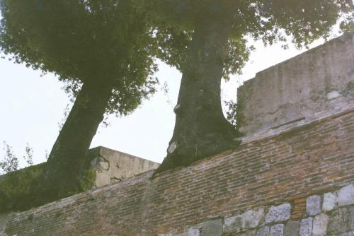 40 2201 IMG00004