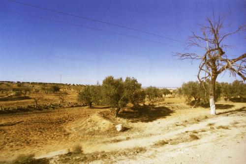 image009