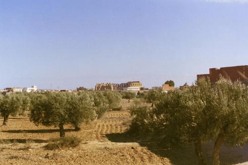 image019