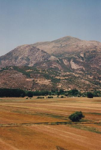 IMG 0011