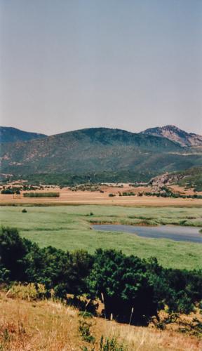 IMG 0012