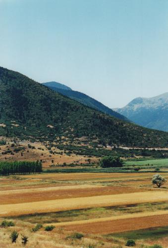 IMG 0014