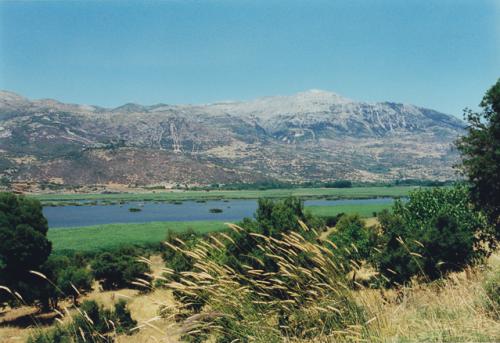IMG 0015