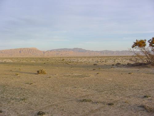 031 0301 DSC00184