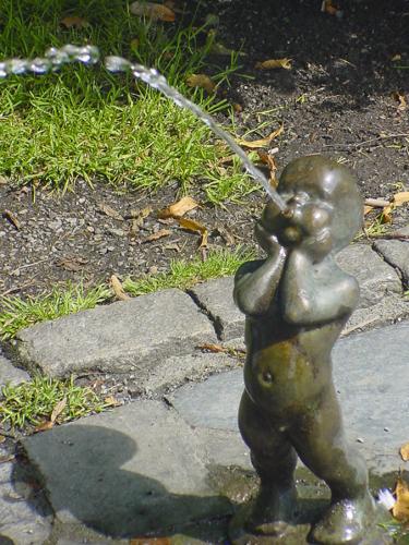 32 0407 DSC00184