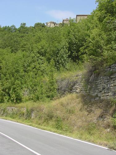 005 0508 DSC00039