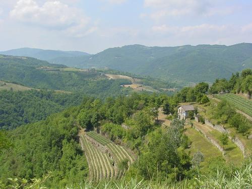 006 0508 DSC00040