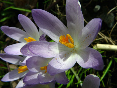 0803