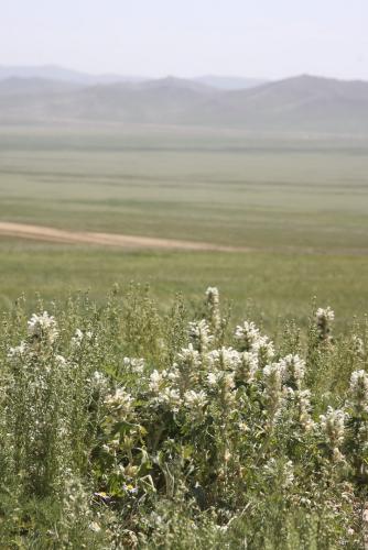 016 0808 IMG 0996