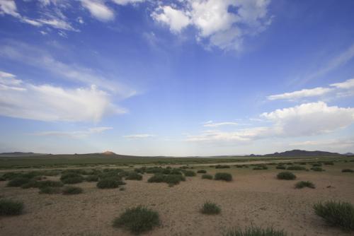 020 0808 IMG 1018