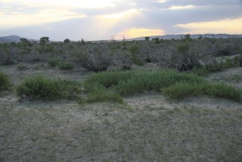 023 0808 IMG 1027