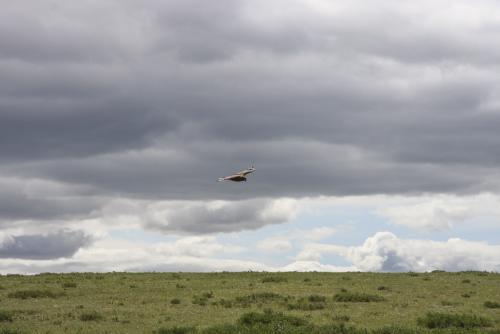 034 0808 IMG 1090