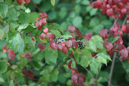 023