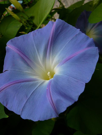 040
