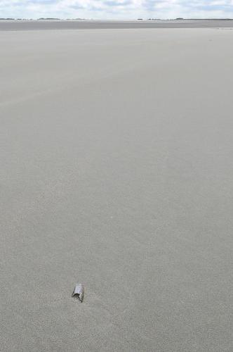 316 0907 P1070016a