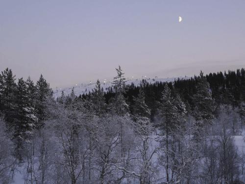003 P1060398