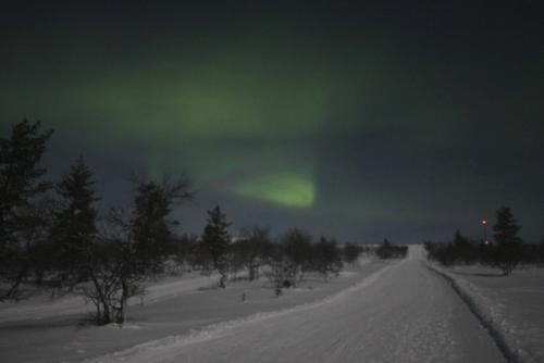 039 IMG 2161
