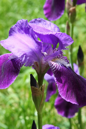 07