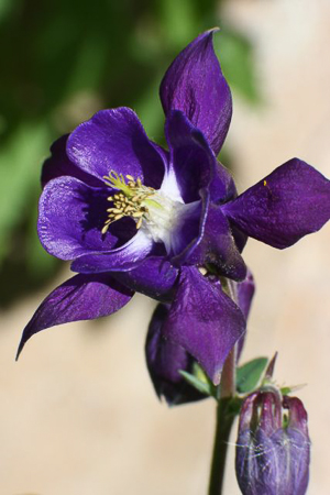 08