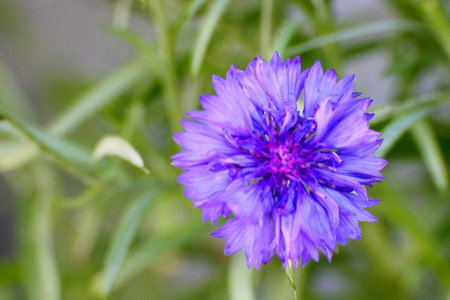 09