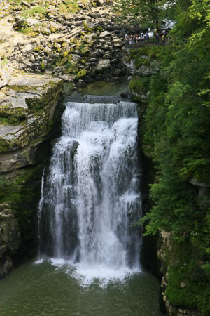 08