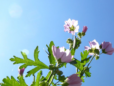 08
