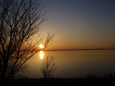 21