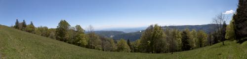 Neues Panorama 1
