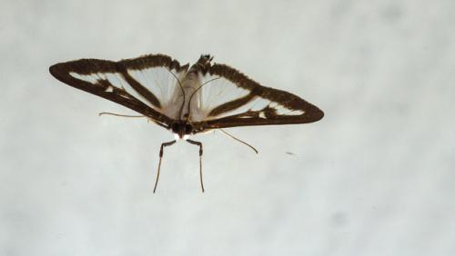 P1040346