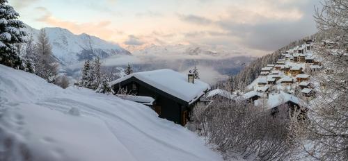 P1010176-Pano