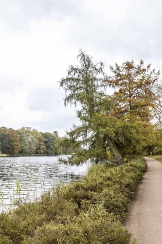 106  X1A3027