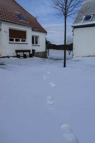 09 P1020365